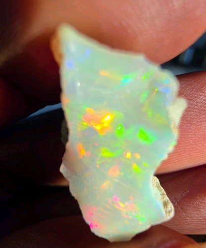 äthiopische multicolour - Äthiopische,